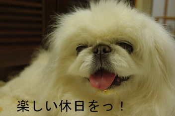 BlogPaint