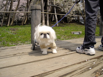 IMGP0963
