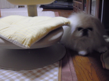 IMGP1011