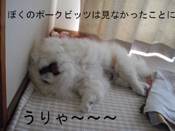 BlogPaint