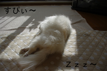 BlogPaint