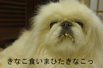 BlogPaint