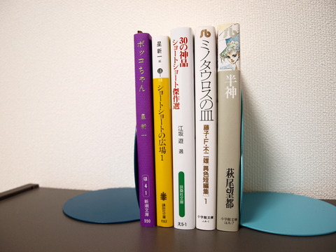 45fc0545-s.jpg