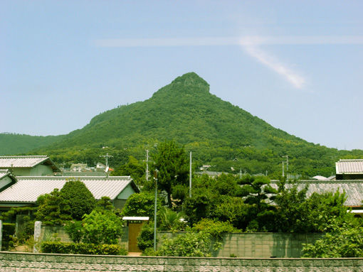 山