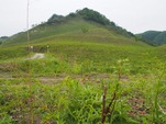 P5254417