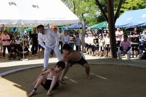 DSC08602