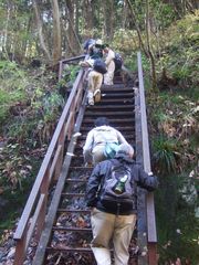 20091115奥多摩の滝 (6)