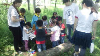 2011051511430000