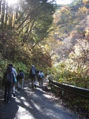 20091115奥多摩の滝 (2)