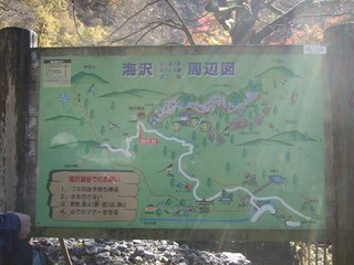 20091115奥多摩の滝 (3)