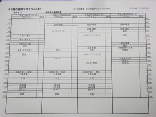 DSCF4123