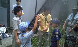 HI3C0092 (640x384)