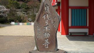 CIMG0132