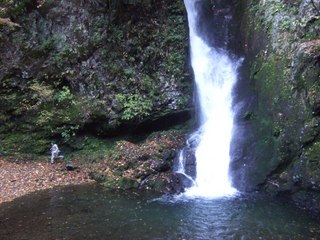 20091115奥多摩の滝 (7)