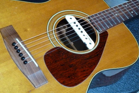 P1050053