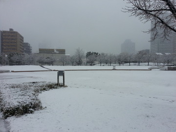 20140214_092835