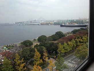 IMG_2065