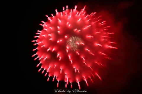 IMG_0810a(C)