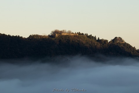 IMG_5480-2(C)