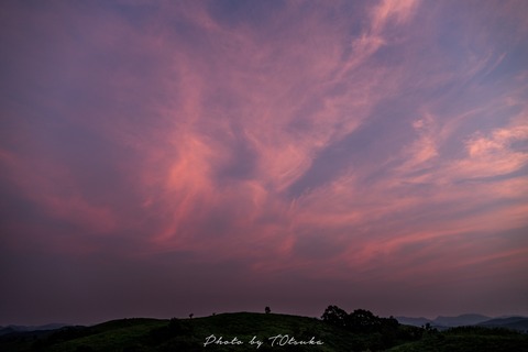 IMG_2043-1-3(C)