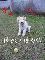 BlogPaint