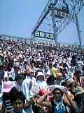04-08-14_12-46.jpg