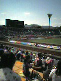 86f95560.jpg