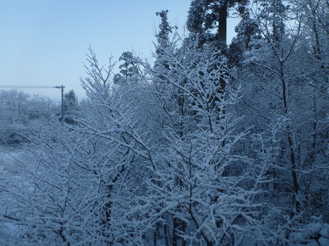P1020206