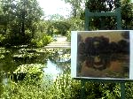 th_DSC00545.jpg