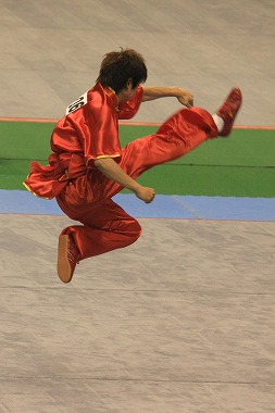 07290b43.jpg