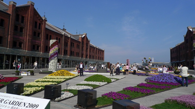 072d82c5.jpg
