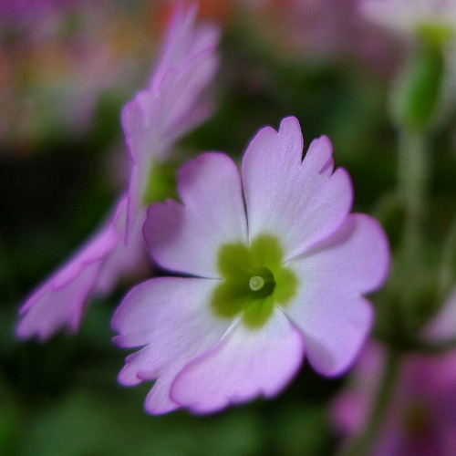 17ea2783.jpg