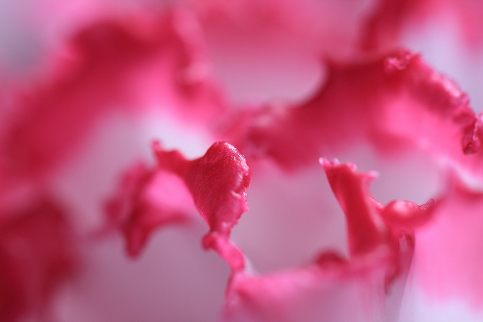 1d26281f.jpg