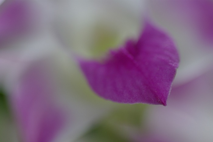 40d84920.jpg