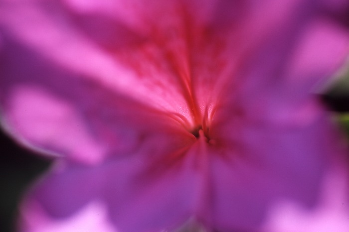 42d85142.jpg