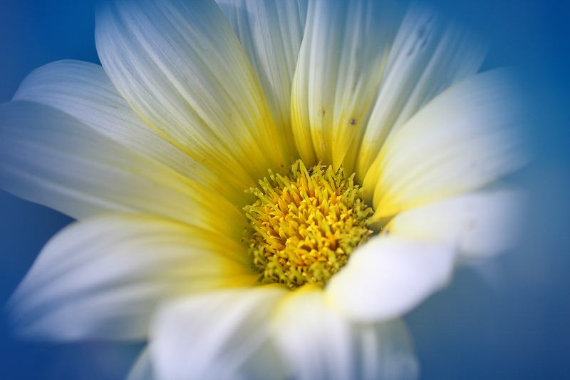 4c0531a8.jpg