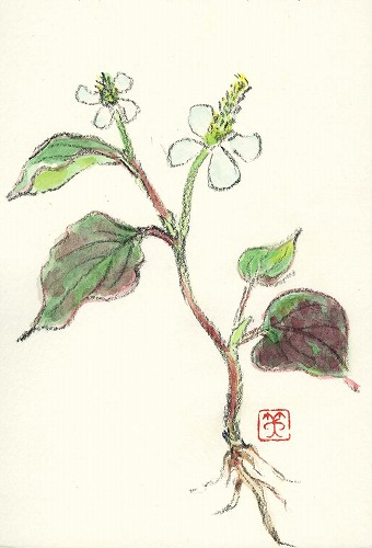 4d061380.jpg