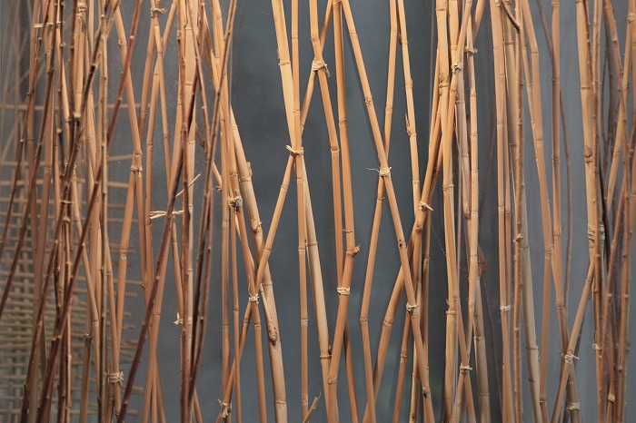 4e18887d.jpg