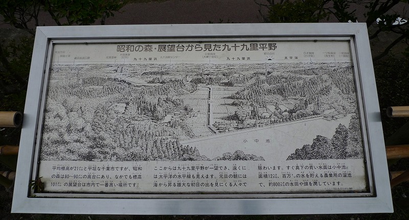 53a033e0.jpg