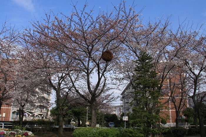 5aae0548.jpg