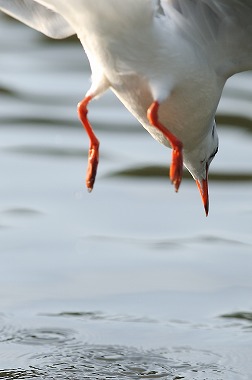 65f97d40.jpg