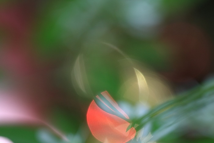 6a0043e9.jpg