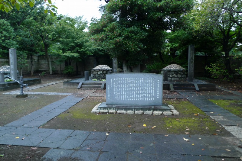 78ba4531.jpg