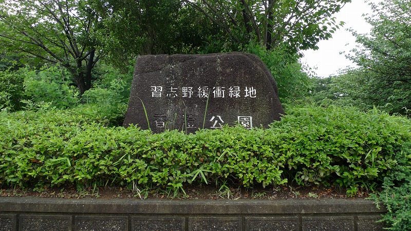 7d287551.jpg