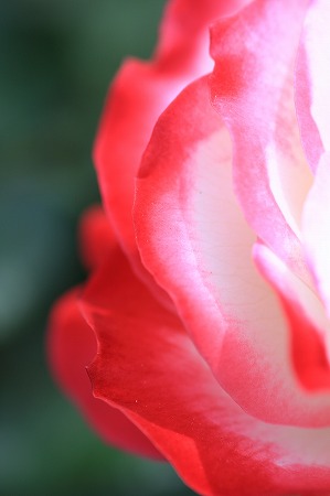 8723672a.jpg