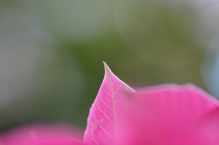 88fb7656.jpg