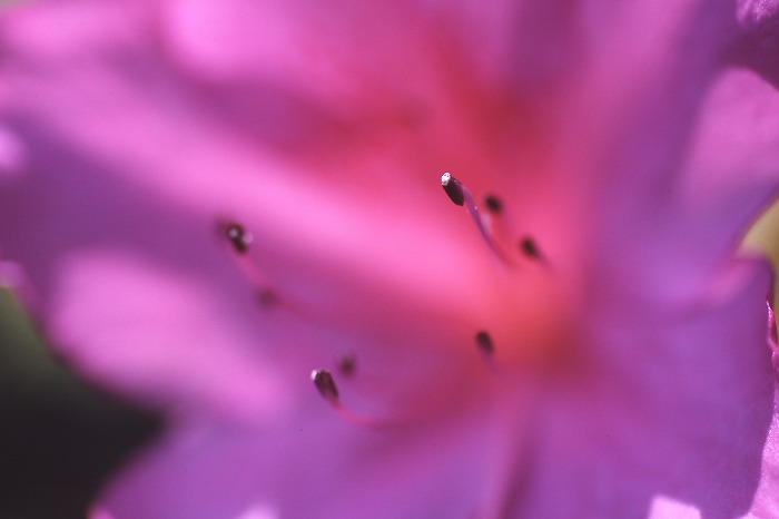 8a373b00.jpg