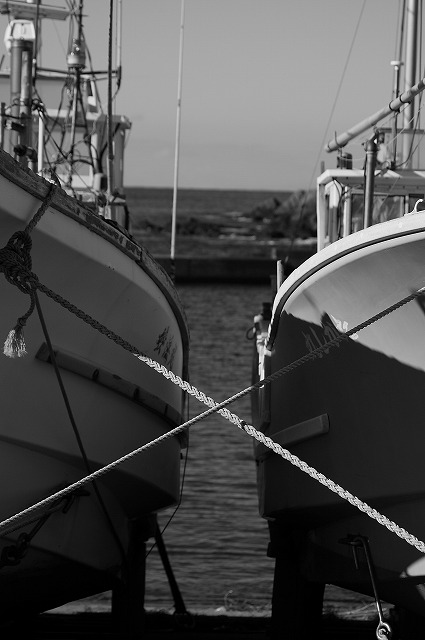 8c728114.jpg