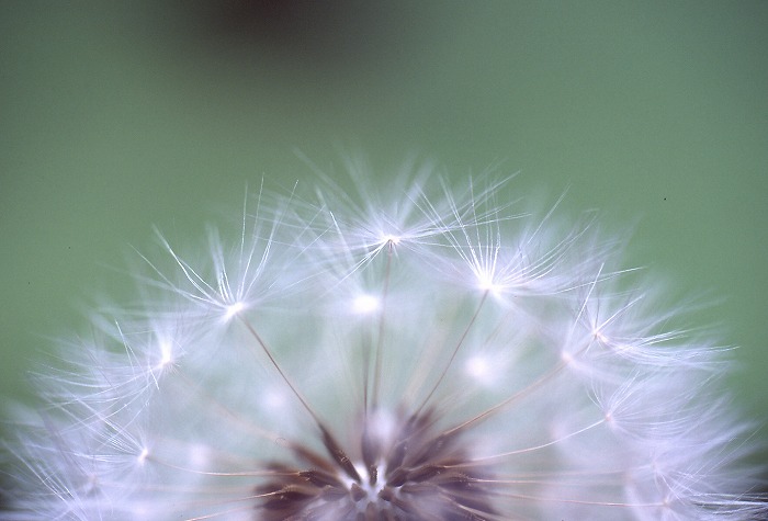 93a43c0e.jpg