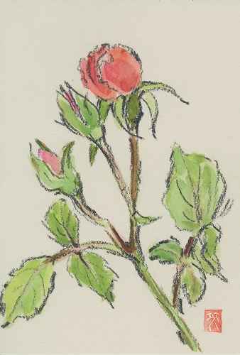 99c86188.jpg